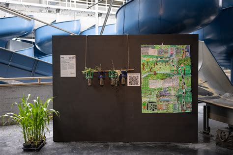 Green Food – Ein nachhaltiger Weg / Schüler*innen der Europaschule Linz ...