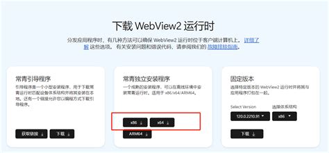 Webview2 Enable JavaScript 的图像结果