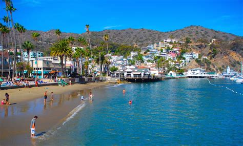 Stay more than a day to get the most of Catalina Island - The San Diego ...