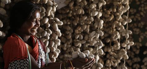 Reviving Tasar Silk Value Chain for Tasar Sericulture-based Livelihood