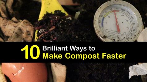 Image result for How to Compost Fast