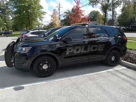 Driver charged with drug possession for having mushrooms in car: Rocky ...