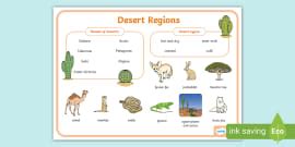 Desert Adjectives Word Mat