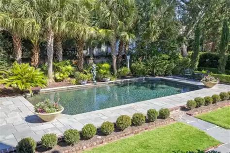 Swimming Pool 的图像结果