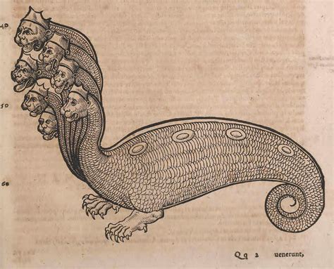 The Octopus…The Monster that Isn't - Biodiversity Heritage Library