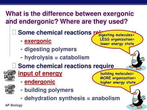 PPT - Metabolism & Enzymes PowerPoint Presentation, free download - ID ...
