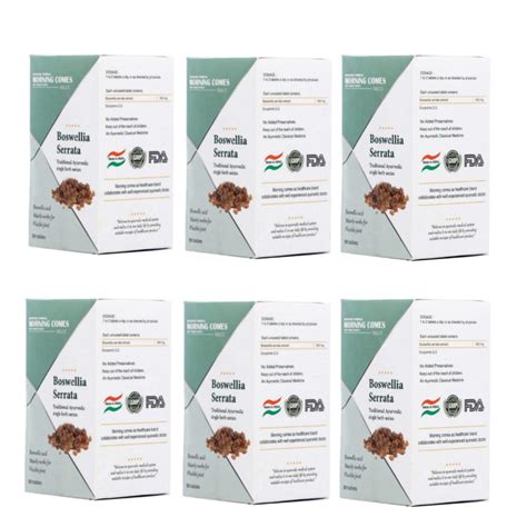 Morning Comes Shallaki | 500mg Pure Boswellia Serrata Extract | 90 ...