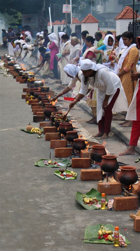 Cooks 的图像结果