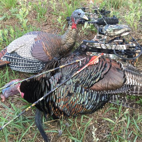 A Texas Spring Turkey Hunt for Two | Grand View Outdoors