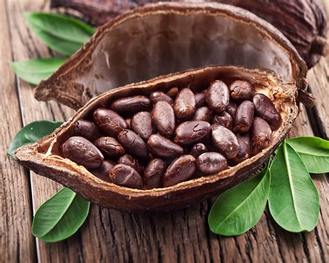 WCF – Global cocoa sector advances effort to sustain industry, improve ...