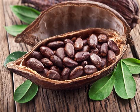 Download Food Cocoa Bean HD Wallpaper