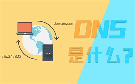 DNS 的图像结果