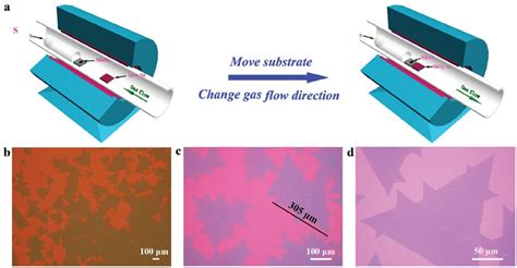 A Review on Chemical Vapour Deposition of Two-Dimensional MoS2 Flakes