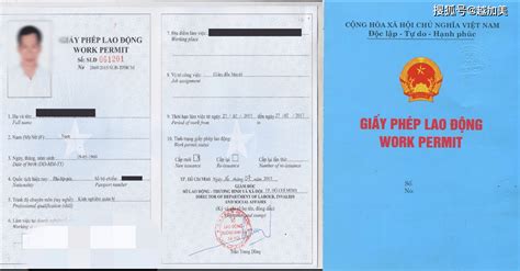 越南新规定：外国人在越南就业免办工作许可证的14种情况_世界贸易组织