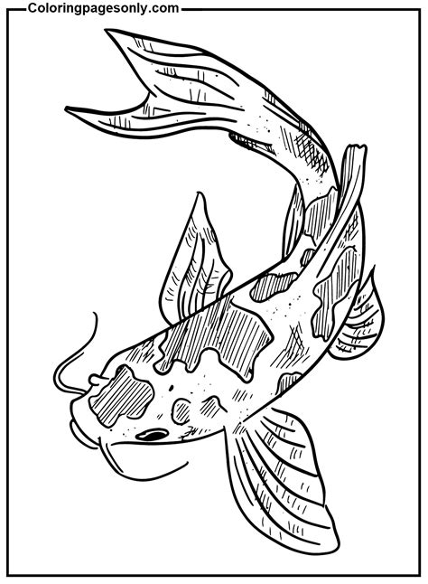 40+ Koi Fish Coloring Pages - Free Printable PDF & Online Coloring