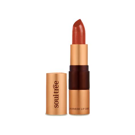 Soultree Ayurvedic Lipstick, Rich Earth | Chemical Free - 4gm – SoulTree