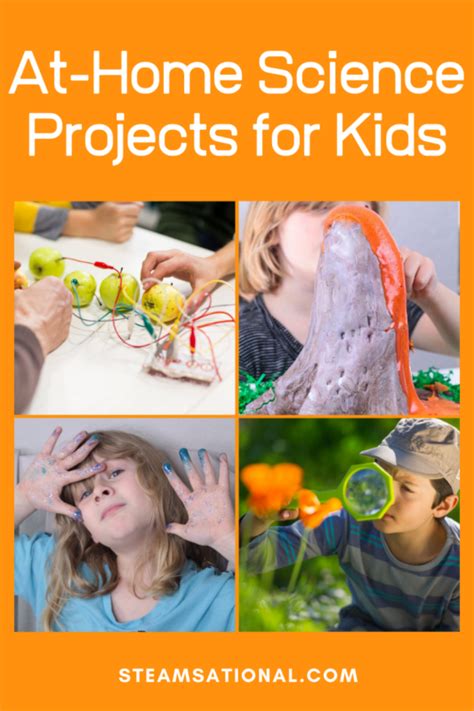 Science Experiments for 3rd Graders 的图像结果