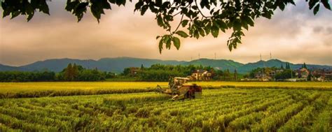 生态农业规划原则和模式，附生态农业的发展现状 - 农敢网