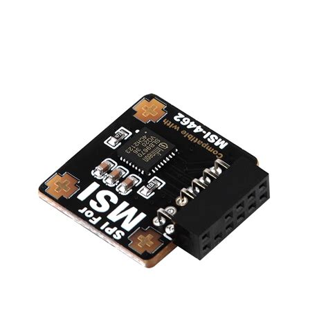 Tpm2 0 Module Tpm Spi 12pin Module With Infineon Slb | Desertcart INDIA