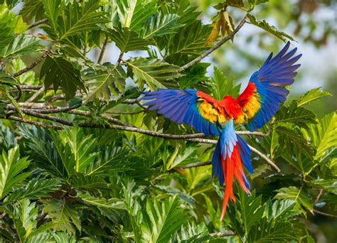 PLAN | Olvidé la contraseña