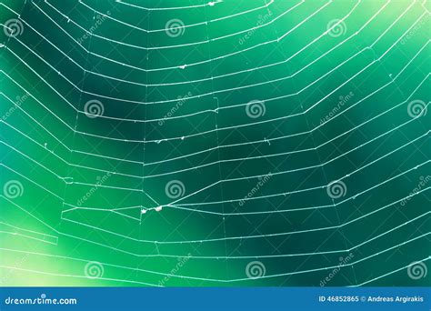 Spider Web stock image. Image of pattern, colorful, natural - 46852865
