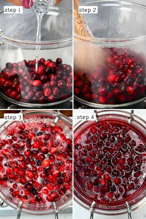 Raw Cranberry Juice Recipe | Deporecipe.co