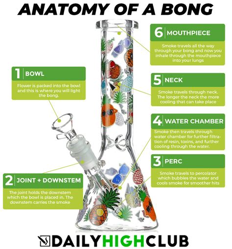 Bongs & Water Pipes | Free Shipping | Daily High Club