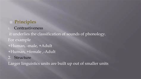 Types of meaning | PPTX