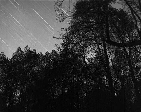 Large Format View Camera 的图像结果