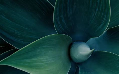 Maritime Sustainability Data, Analytics & Reporting | S&P Global