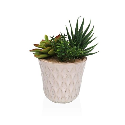 Διακοσμητικό Φυτό Versa Κεραμικά Πλαστική Ύλη Fusion Πλούσια 7,8 X 14 X ...