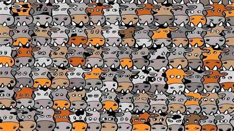 Is this Image an Enigma to you or Can You Find the Dog in 9 seconds?