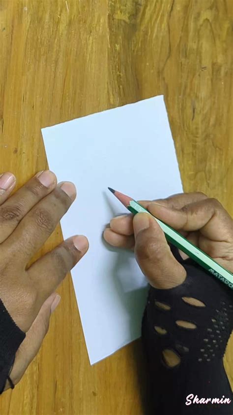 Draw Using Numbers 的图像结果