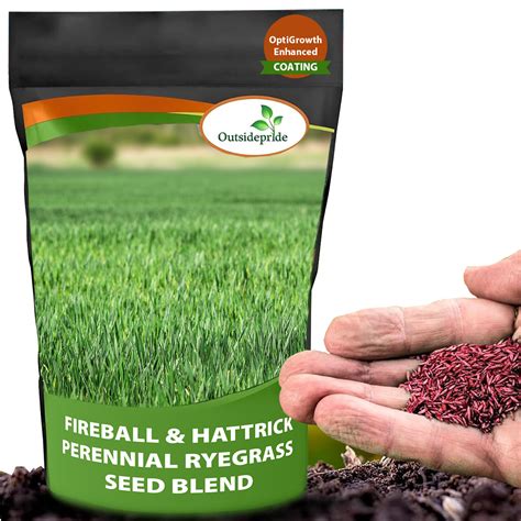 Fireball & Hattrick Grass Seed - Perennial Ryegrass Seed Blend