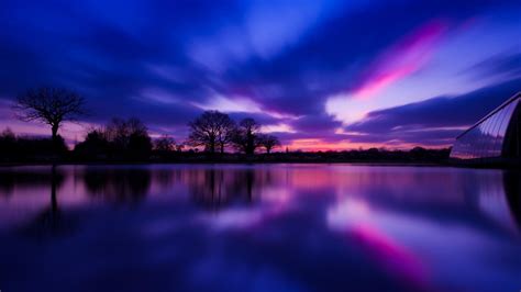 Black and Purple Nature 的图像结果