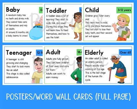 Human Life Cycle Sequence and Fold Activity for Kids | Printable US Letter and A4 Size | Stages ...