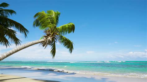 Image result for Beach Python Code