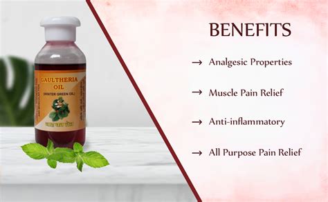 oilntea Nilgiri Gaultheria Oil (Joint Pain oil) Winter Green Oil, 200 ...