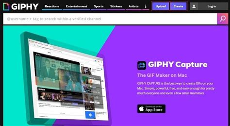 Best 9 GIF Recorder to Record Screen to GIF in 2026