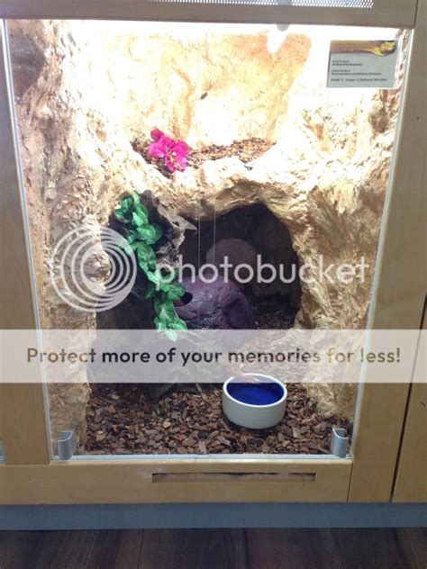 Image result for Reptile Python Cage