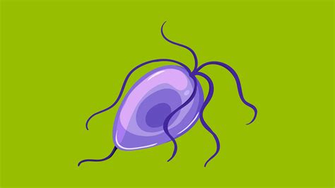 Trichomoniasis