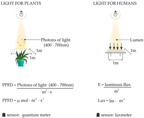 LED Light Sources and Their Complex Set-Up for Visually and ...