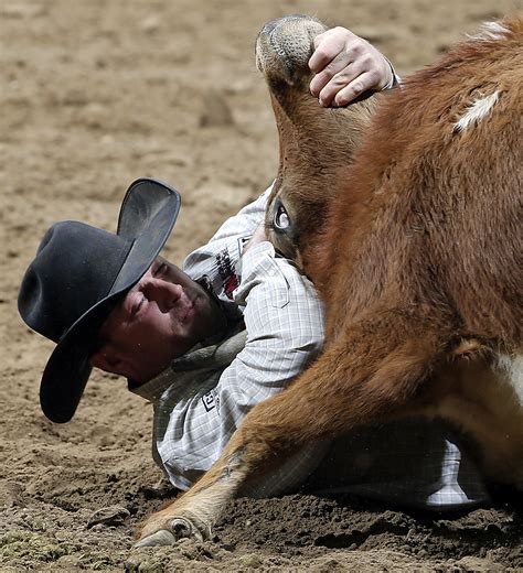 Image result for Loading Rodeo Stock