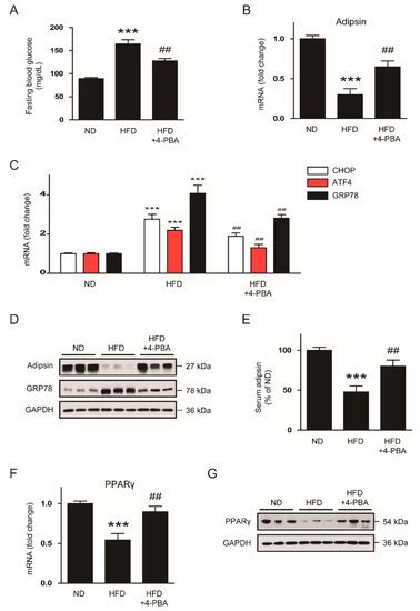 Regulation of Adipsin Expression by Endoplasmic Reticulum Stress in ...