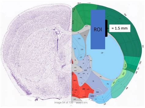From Image to Results | Enabling 3D Multiplexing Spatial Omics ...