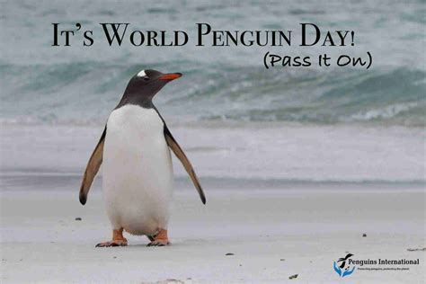 World Penguin Day