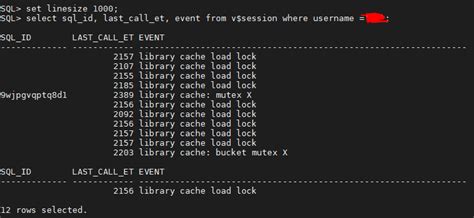 Image result for How to Fix Library Cache Lock