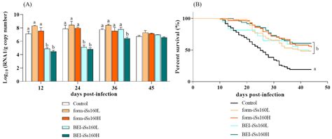 BEI Inactivated Vaccine Induces Innate and Adaptive Responses and ...