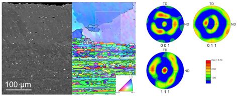 Microstructural Evolution during Severe Plastic Deformation by ...