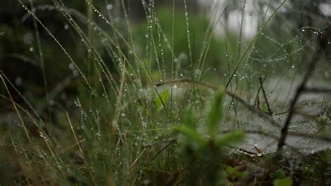 Eastern Frontier Educational Foundation